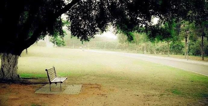 特里伊格尔顿马克思,特里伊格尔顿简介