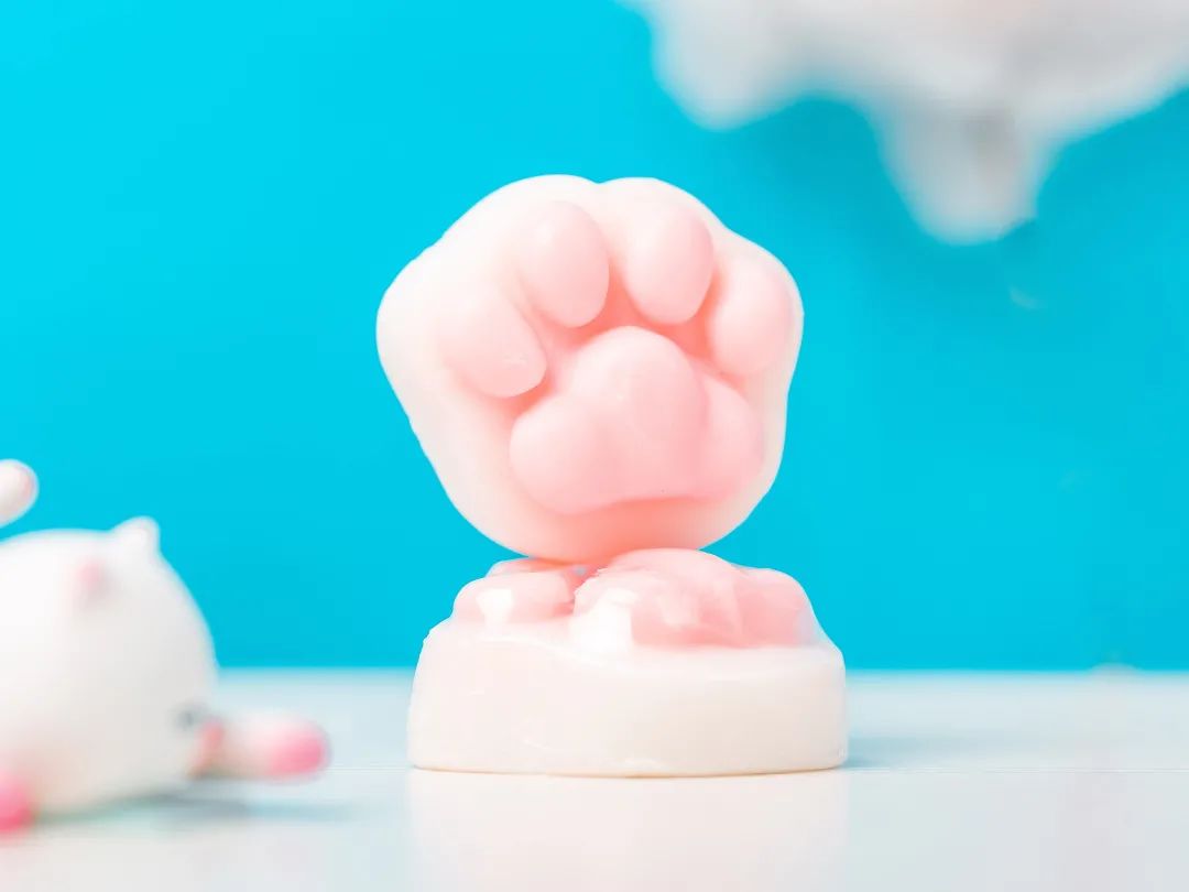 和猫咪接吻会怎么样,猫咪被亲了瞬间感觉不干净了