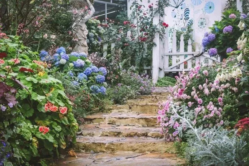 成都免费游玩景点推荐,成都景点免费门票一览表