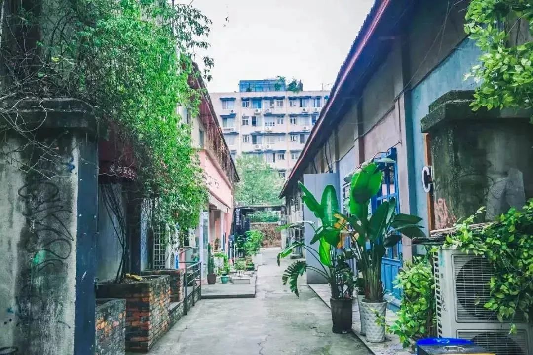 成都免费游玩景点推荐,成都景点免费门票一览表