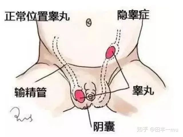 OO疼真的不！能！忍！