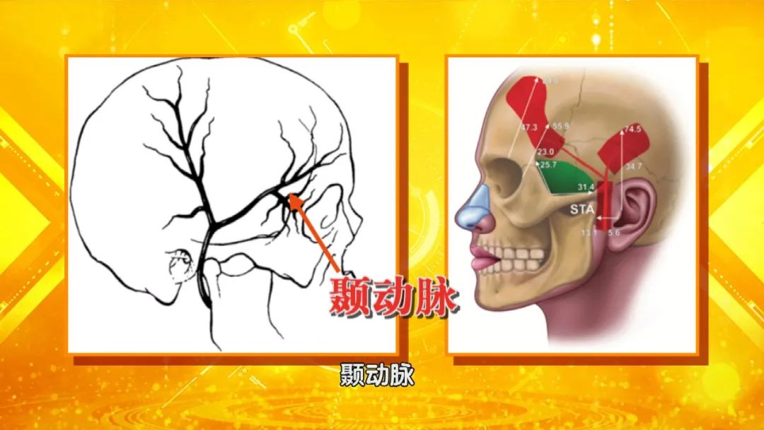 养生堂今日播出视频,养生堂今晚回放的内容