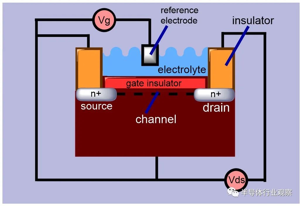 大有可为的生物芯片