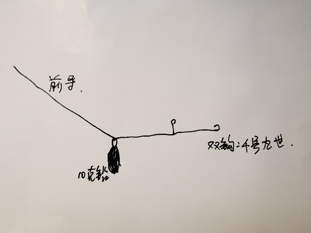 去小河边野采非常好看的观赏鱼,漂亮的观赏鱼美景