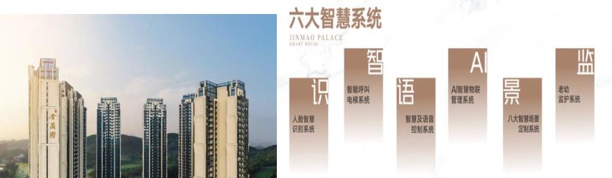 金茂CTO田九坡专访:实现产品溢价的三条锦囊