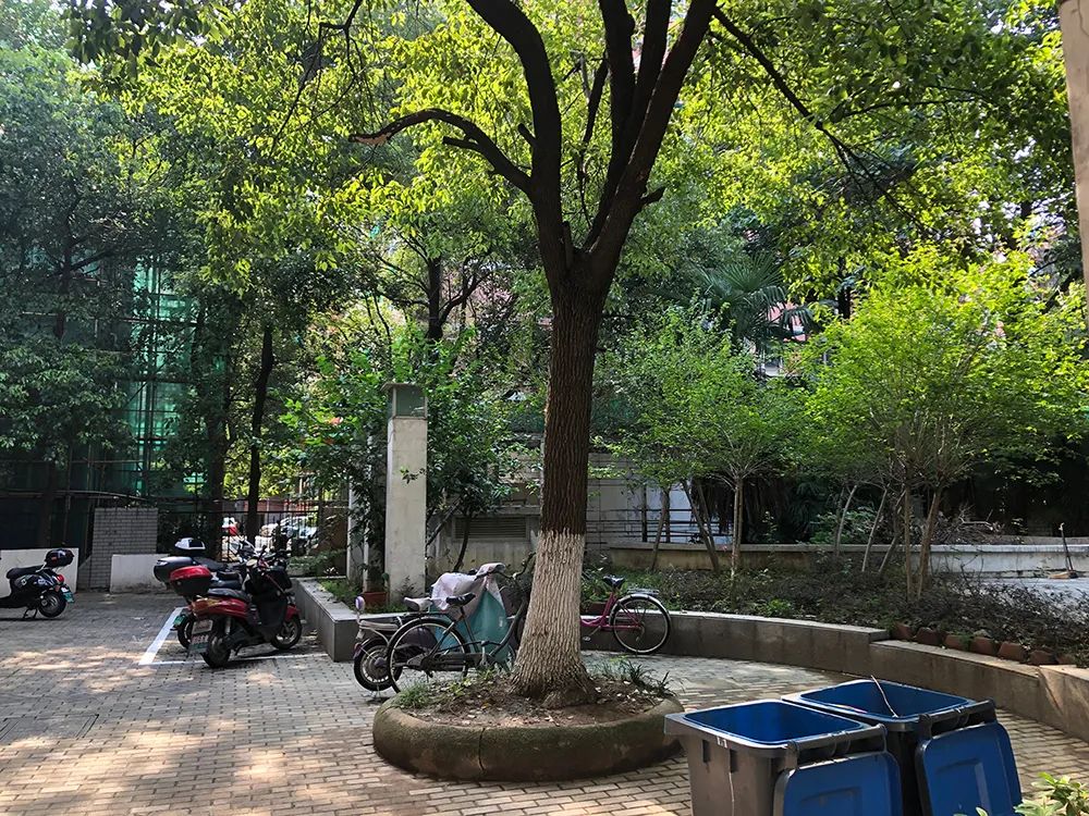 惊！南京三线“草小”成功逆袭，业主膨胀却不被认可，真相...