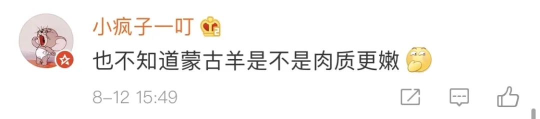 蒙古国3万只羊够吃吗,从小吃香料的羊