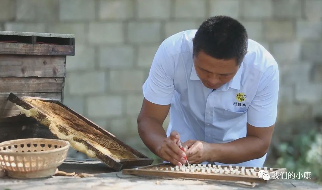 让数据多跑路让民众少跑腿,让数据多跑路让老年人少跑腿
