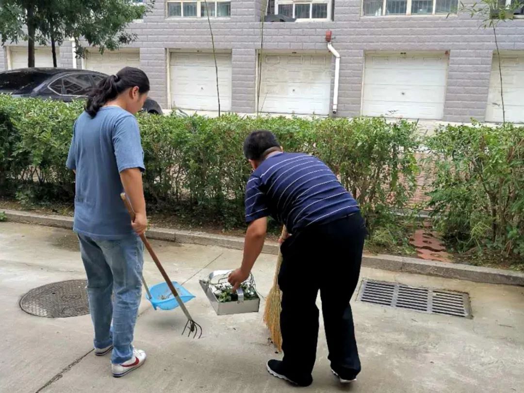 创城工作志愿服务活动通知,创城志愿服务有你有我