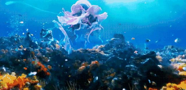 海洋里面有什么护肤成分,海洋护肤成分有哪些