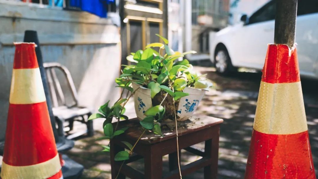 井巷烟火|这家有点“年纪”的早餐店，听说老丽水人都爱光顾