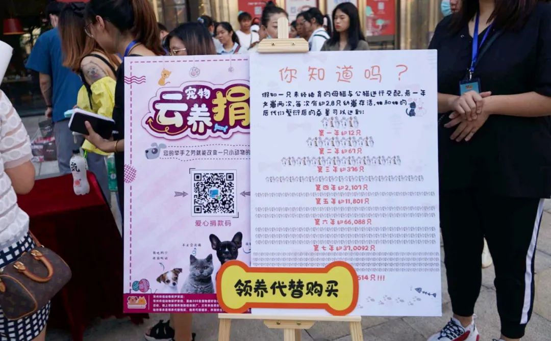 用领养代替购买，让流浪的“毛孩子”有个温馨的家~