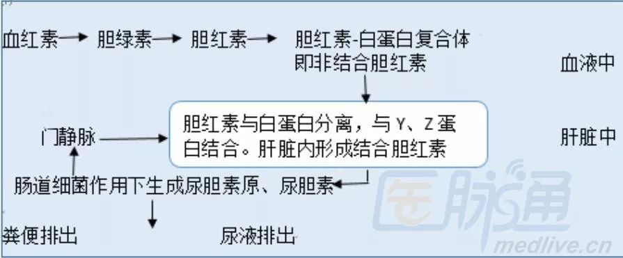 自身免疫性肝病指标检测解读,肝病相关临床指南解读