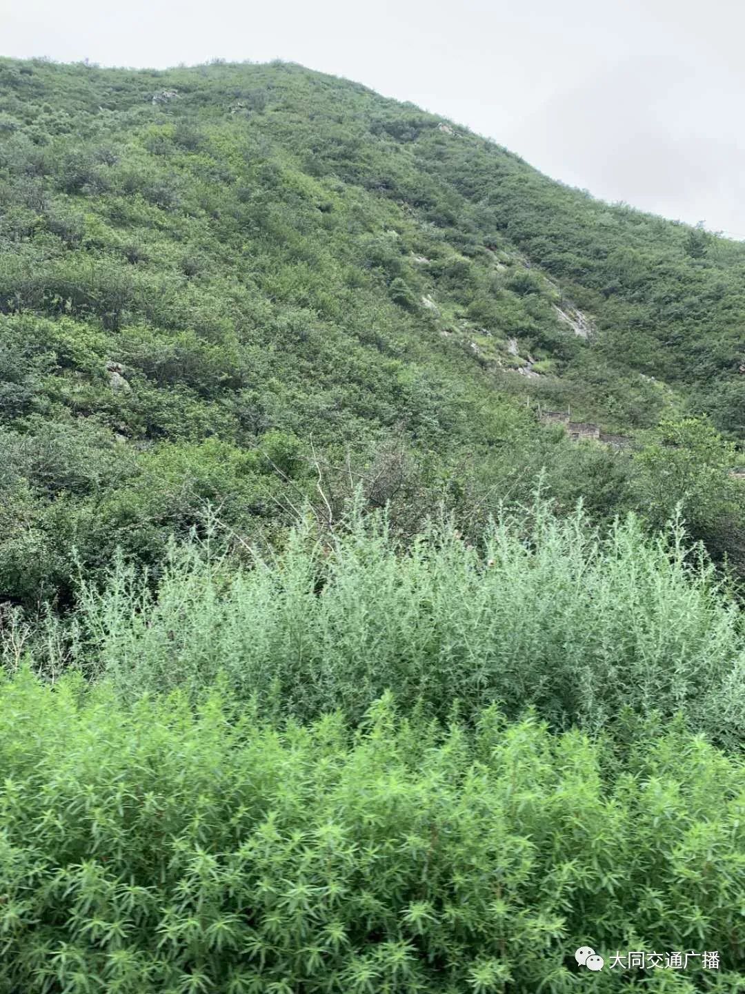 「996|美文」在口泉峪行走