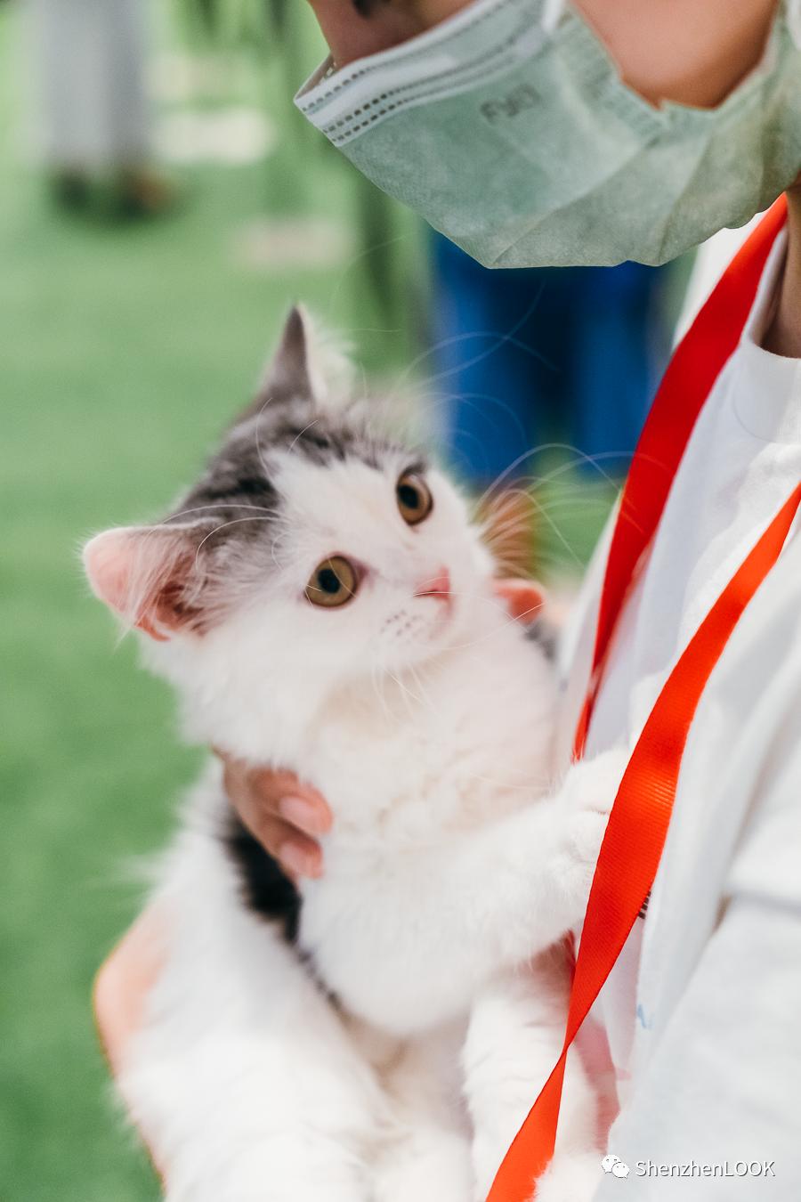 LOOK|海岸城更新·「宠物Mall」限时开放