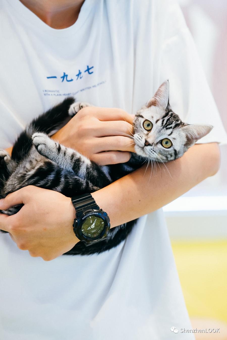 LOOK|海岸城更新·「宠物Mall」限时开放