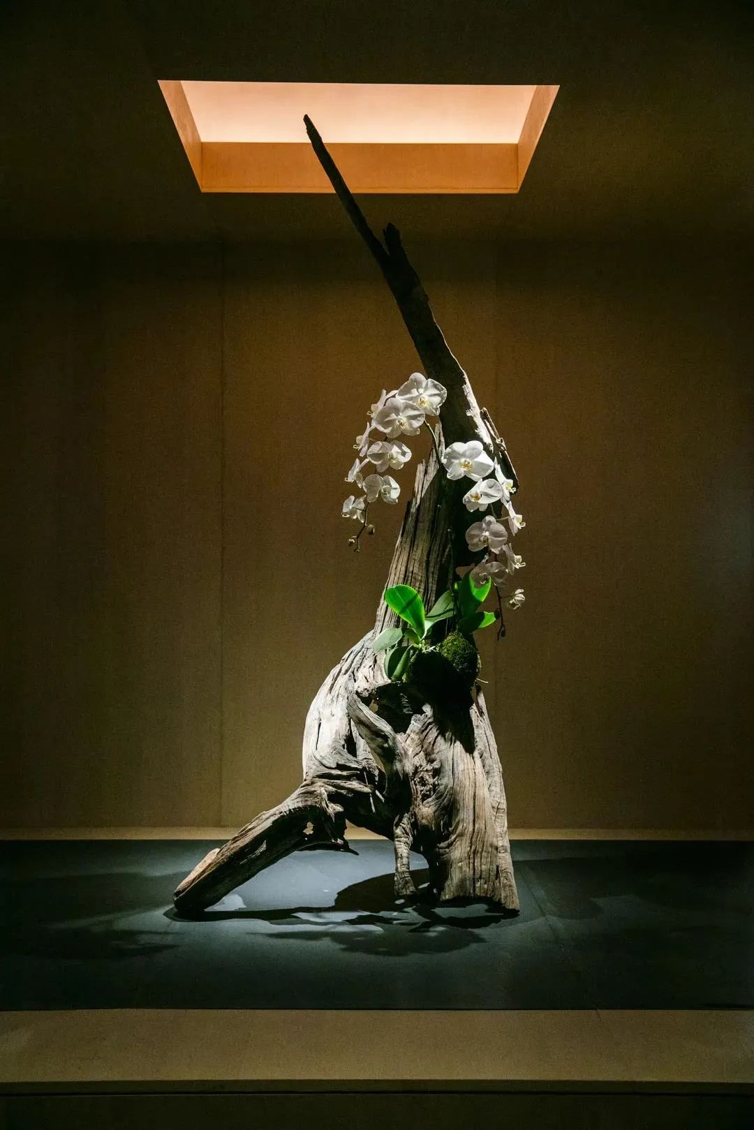 西塘游玩推荐的酒店,西塘古镇风景最好的酒店