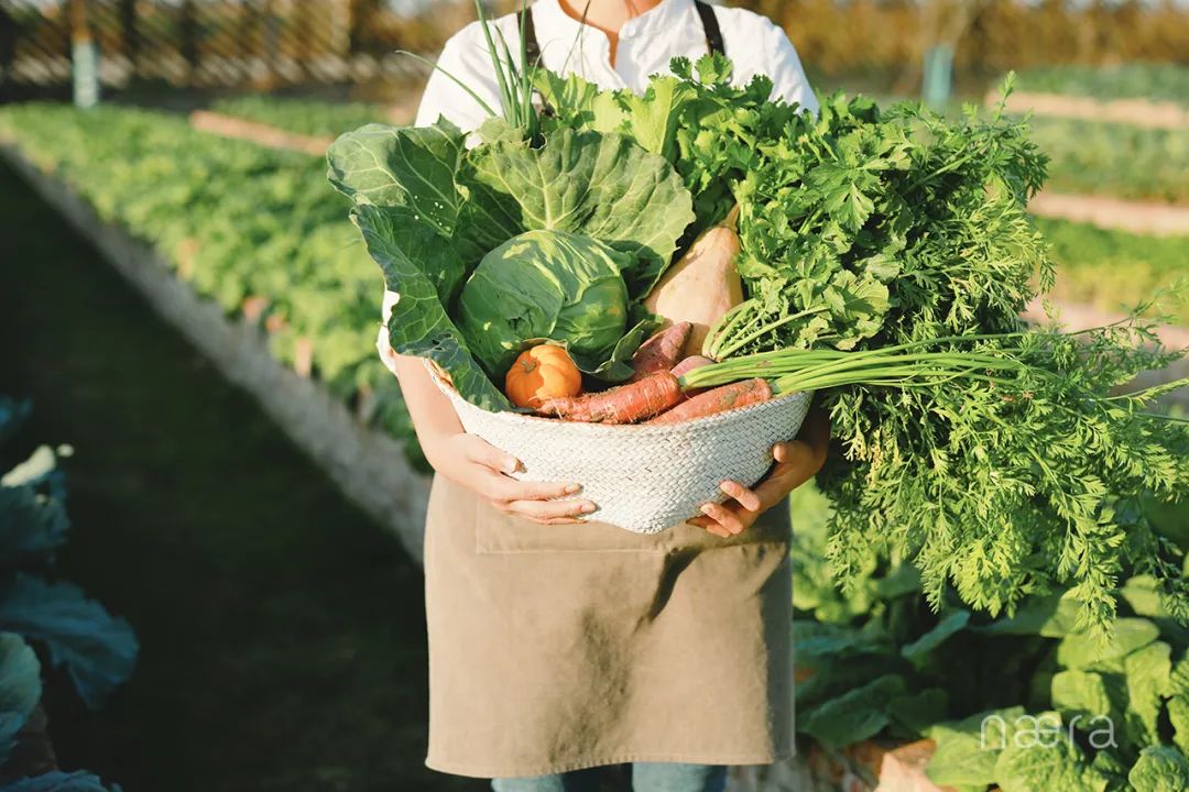 西塘古镇最佳的景观酒店,看西塘最好的酒店