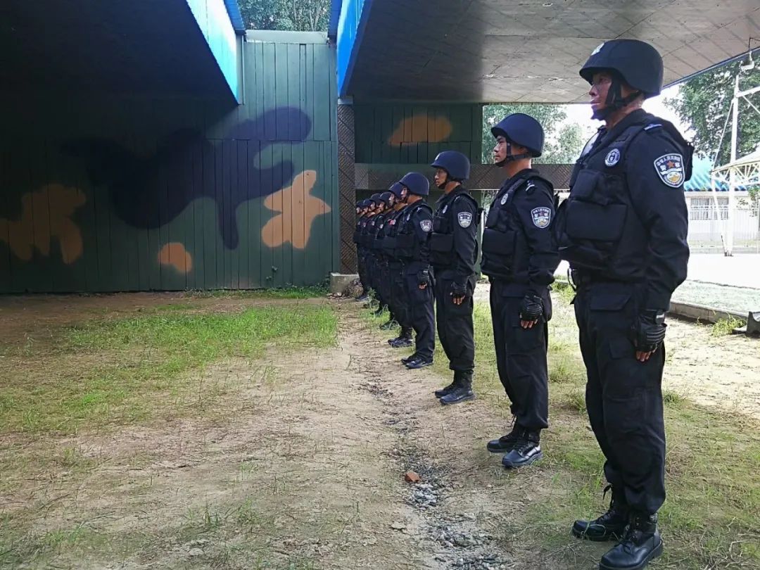 公安实战大练兵纪实,全国公安机关警务实战大练兵