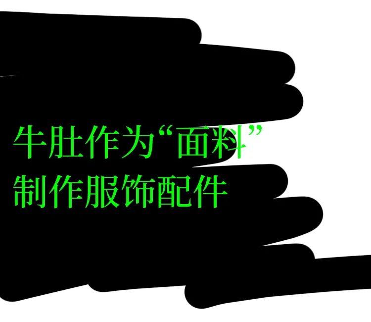 黑科技可拍照,黑科技拍照真实图片