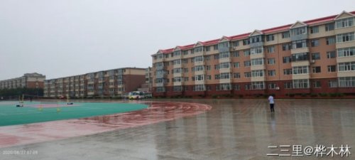 对抗“巴威”，他们竟然“拴”大树、电梯停运、连夜清理铁皮