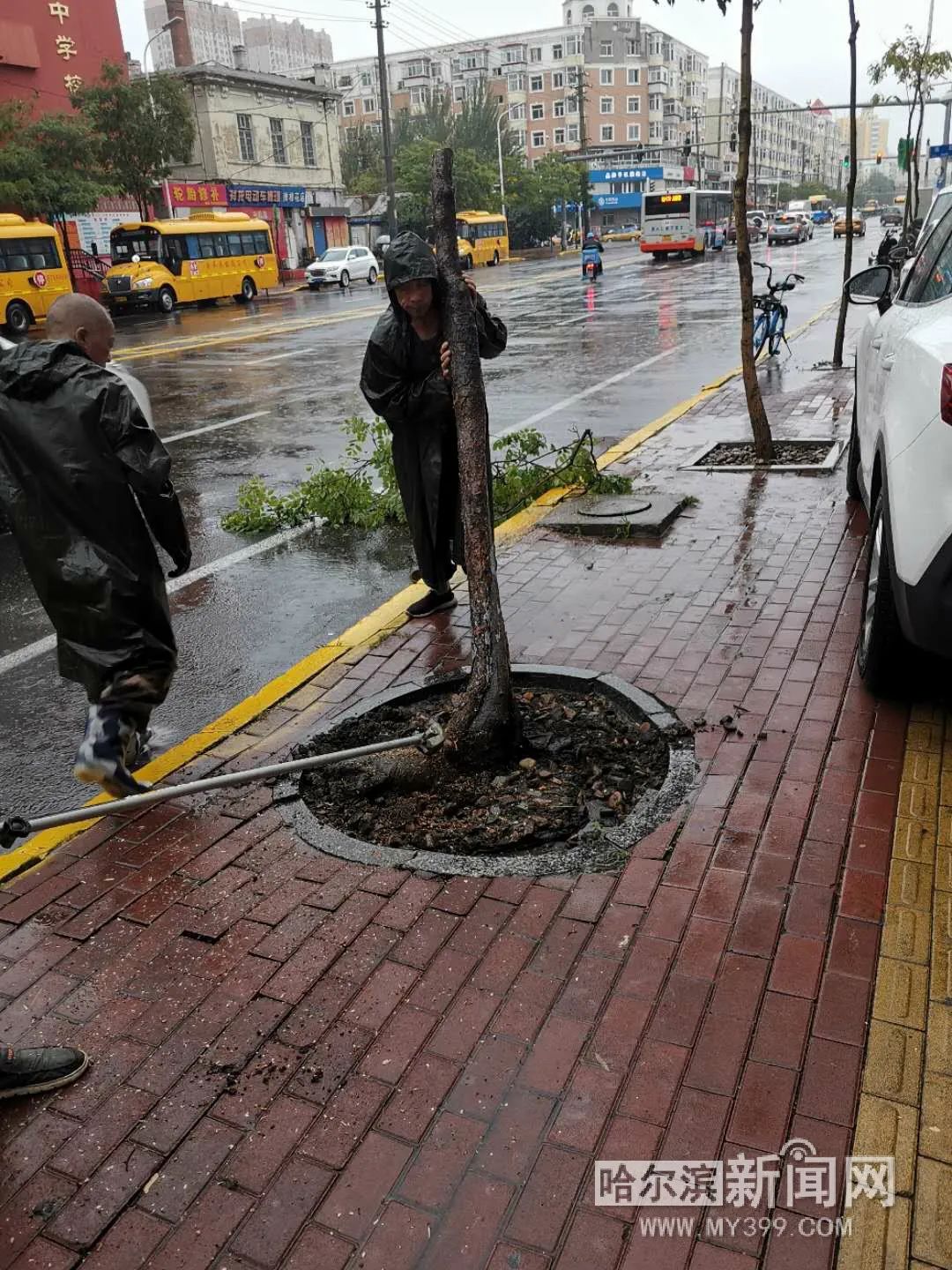 佳木斯台风巴威降水量多少,巴威到大庆