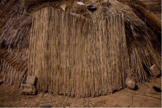 没见过比尔·盖茨强烈推荐的“美元街”，你都不知道自己活得多幸福