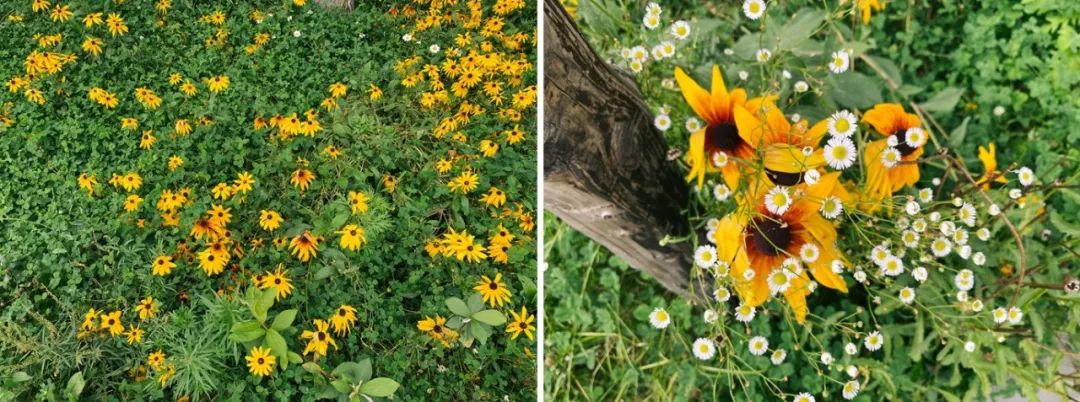 去长白山哪家酒店度假最好,长白山最佳观景酒店