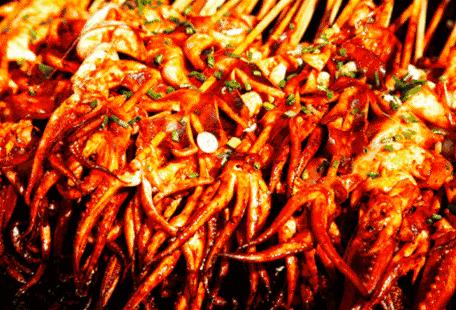 音你而来张碧晨音乐节,2020老山森林音乐节