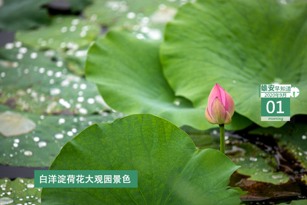 雄安雄县新建医院,雄安医院最新消息