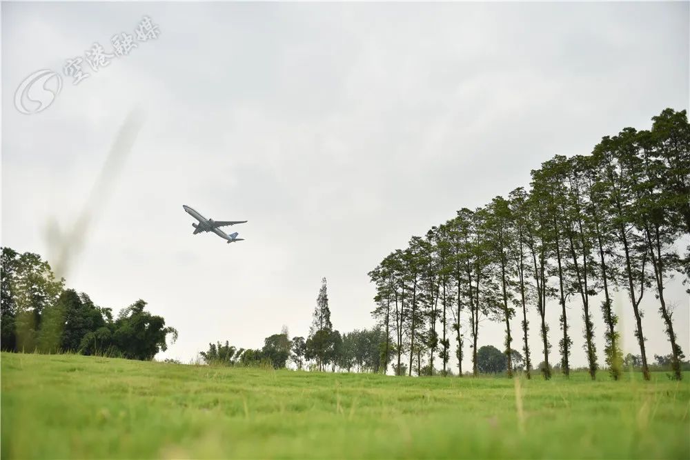 飞机的最佳观赏位置,看飞机的最佳场地