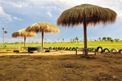 花田之约，醉美其中…