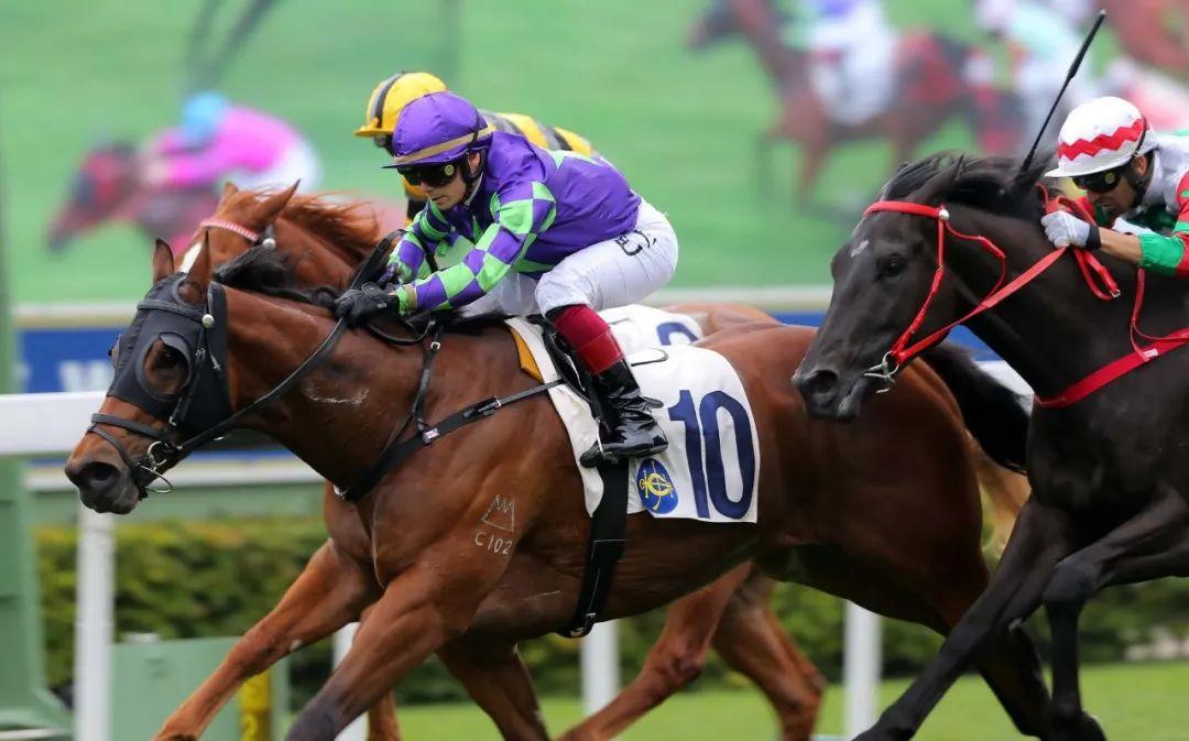 云端开战！香港赛马开锣赛精彩回顾《环球赛马（第一赛马网）明晚一起观战