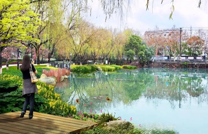 衢州市柯城区府山公园,府山公园最新状况