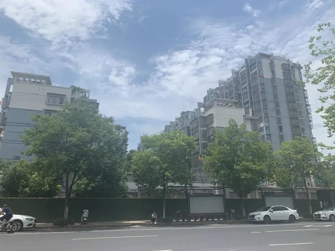 新房学区房详解,新房学区划分后期还会变动吗