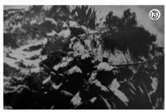 湖南对抗日战争的贡献,湘西人民为抗日的付出