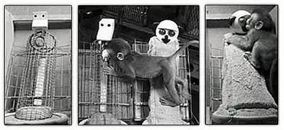 孩子行为异常是什么意思,孩子行为背后的生理心理原因