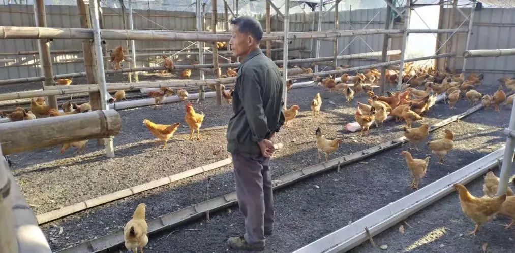 健康生活嘉年华,健康养生节活动