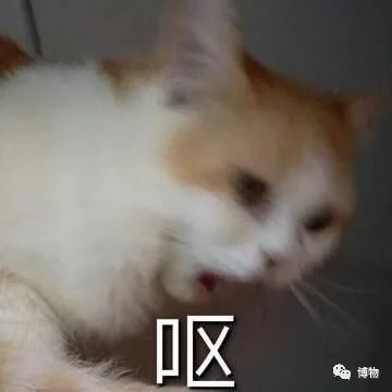 我死了又活了,我死了我的债务怎么办