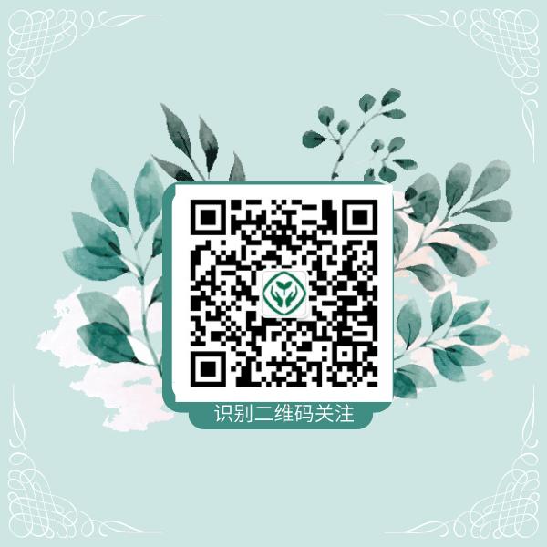 奇妙的探索,幼儿老师游戏故事案例分享