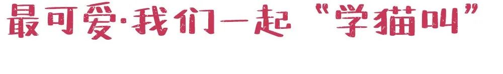 在曲江，你可能不会发胖，但一定会脱单
