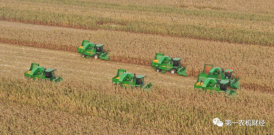 玉米机收损失率超标原因,机收损失率高吗