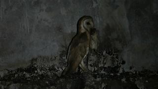 别去挤景点了！生态旅游了解一下