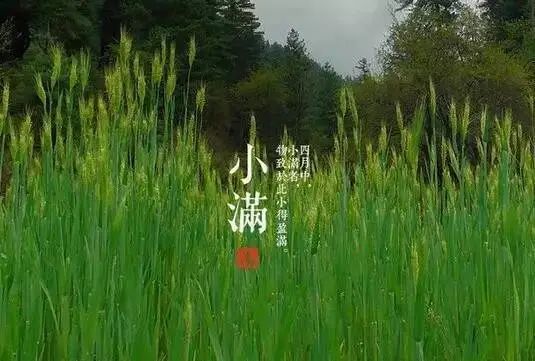 印迹·*安瓮**｜“佛诞日”、“牛王诞”、“祈嗣日”、“药王会”你知道是哪天吗？