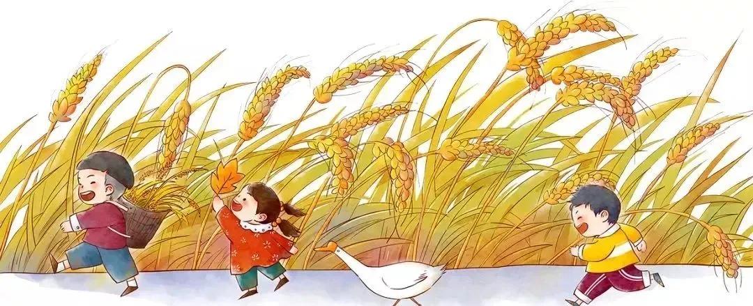 漕河泾街道生活日记——笔下字间描绘小康生活，一起来聆听他们与漕河泾的故事