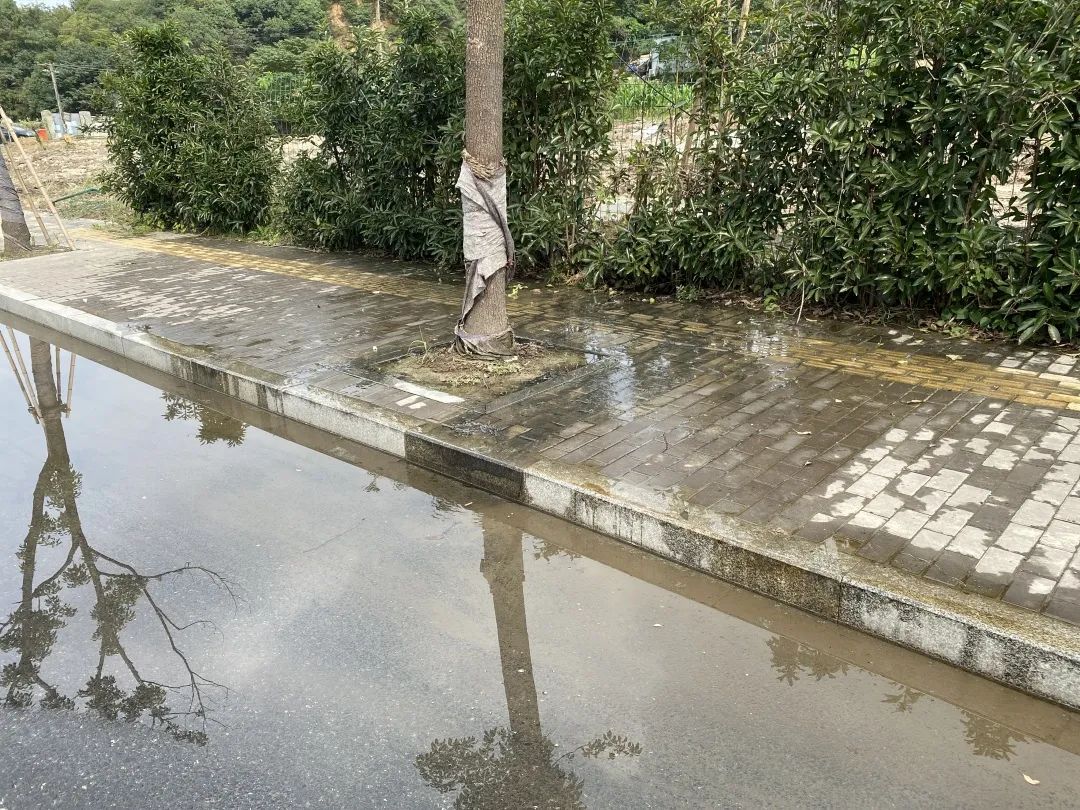 举报违法违纪行为范文,注意这些行为可能会毁掉你的孩子