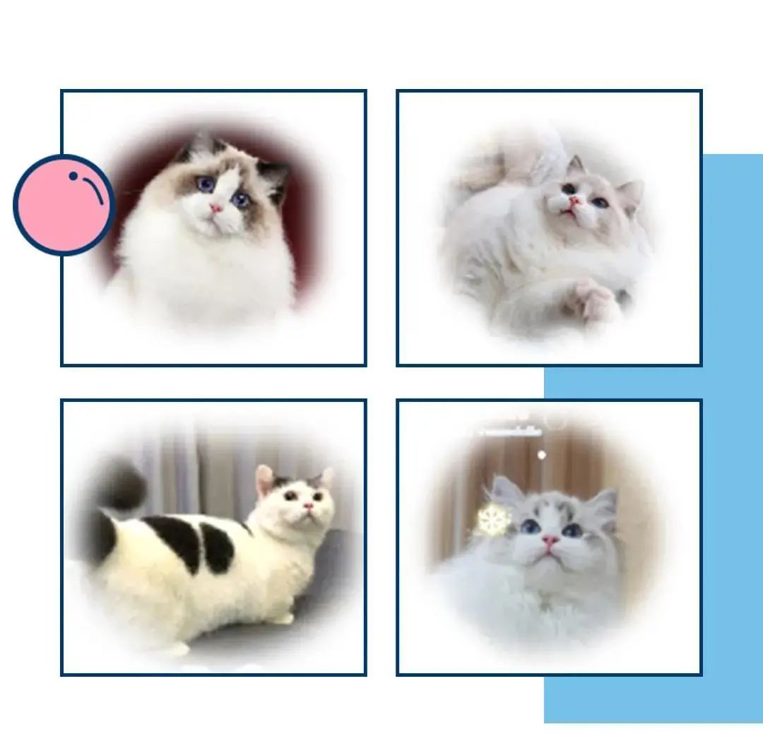 十一去哪儿玩亲子游成都,十一去长沙旅游攻略