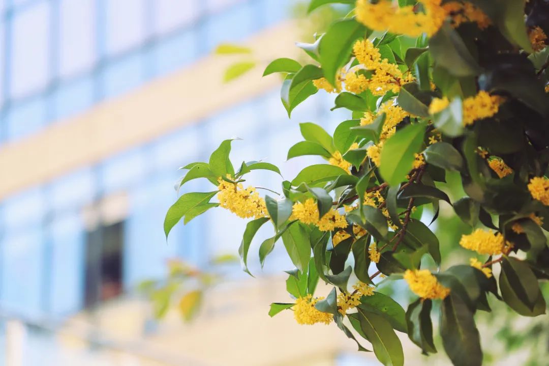 滨江多思创新学校,滨江学校全部排名