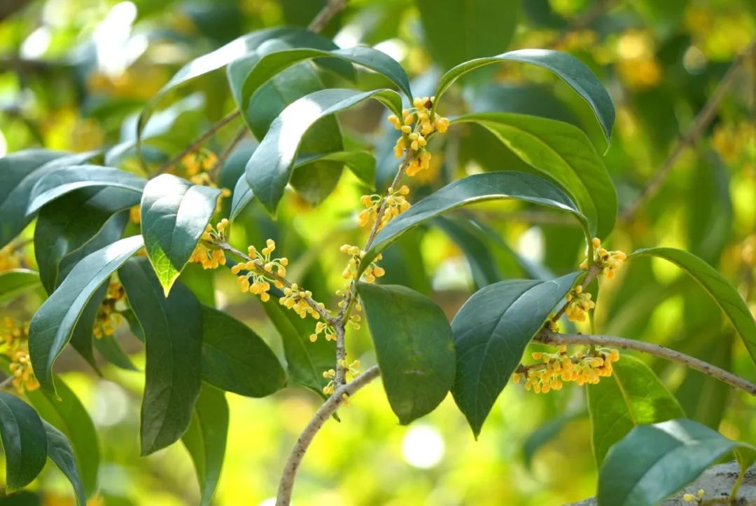 滨江多思创新学校,滨江学校全部排名