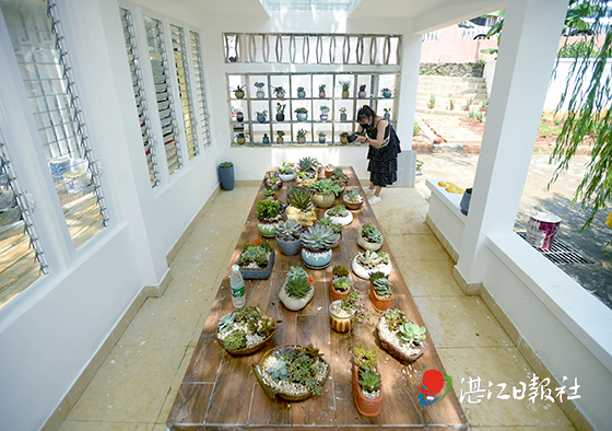 霞山区绿村路旧城改造,湛江霞山区园林改造施工